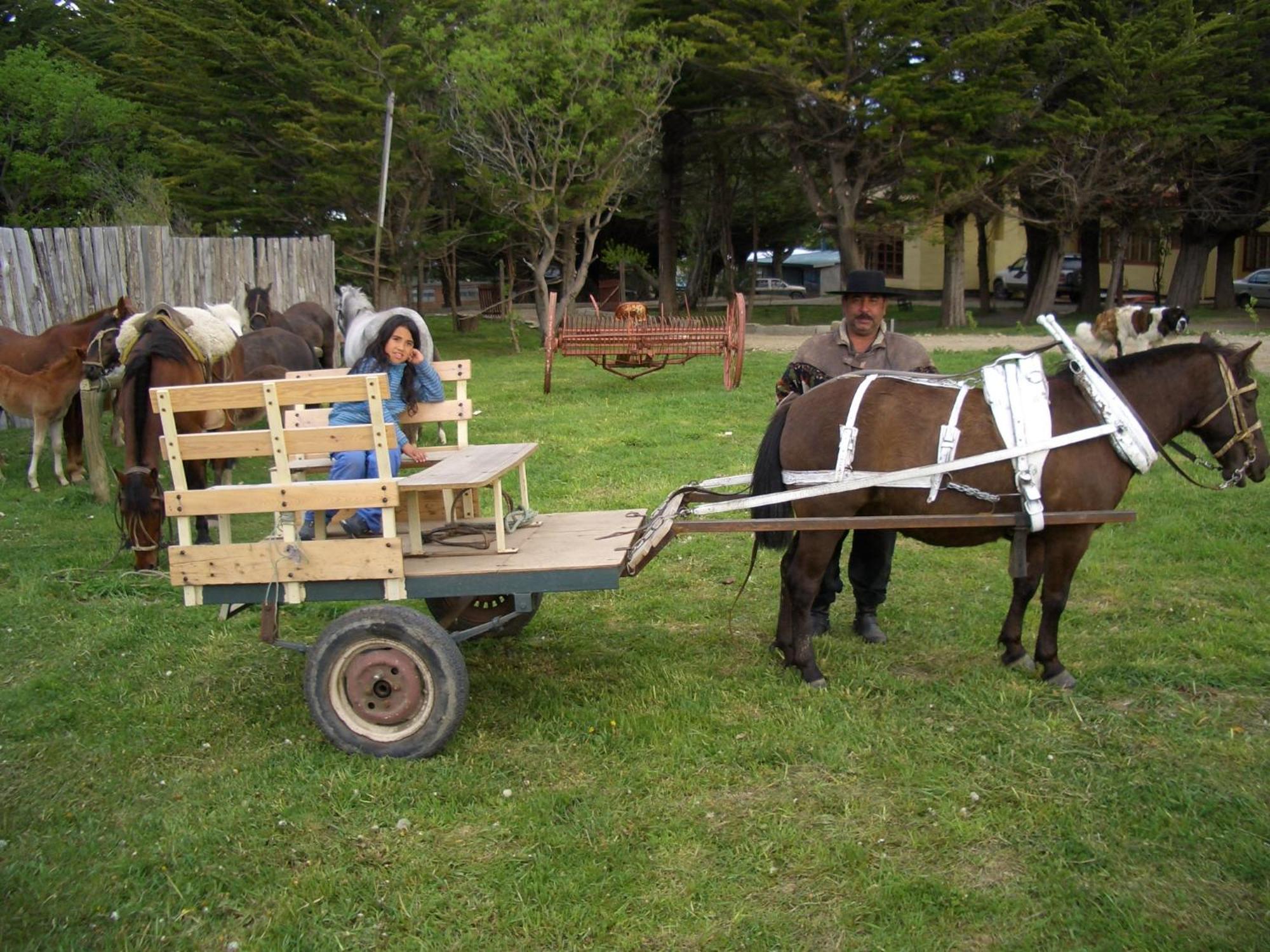 Estancia Rio De Los Ciervos Punta Arenas Exteriér fotografie