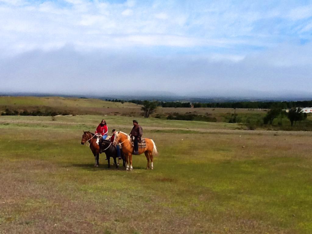 Estancia Rio De Los Ciervos Punta Arenas Exteriér fotografie